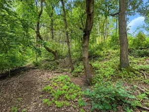 Prodej rybníku, Dačice, 25771 m2