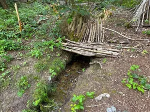 Prodej rybníku, Dačice, 25771 m2