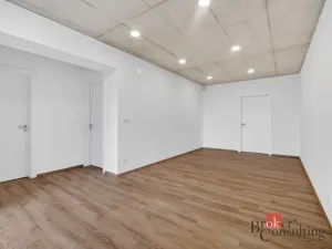 Prodej bytu 3+kk, Dolní Dunajovice, Rudé armády, 60 m2