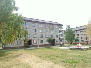Prodej bytu 2+1, Vintířov, 52 m2