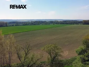 Prodej zemědělského objektu, Počedělice, 2500 m2
