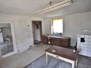 Prodej rodinného domu, Čečelovice, 360 m2