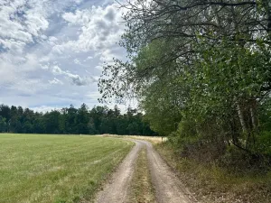 Prodej louky, Rybníky, 16399 m2