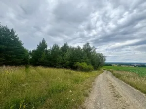 Prodej louky, Rybníky, 17967 m2