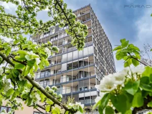 Pronájem bytu 2+kk, Praha - Žižkov, Malešická, 98 m2