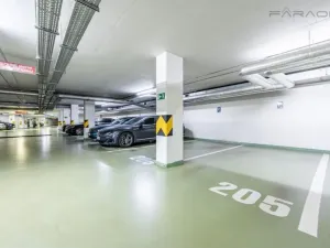 Pronájem bytu 2+kk, Praha - Žižkov, Malešická, 98 m2