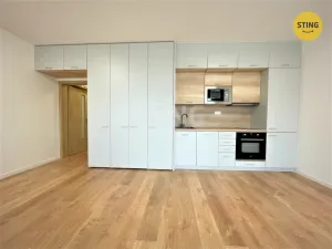 Pronájem bytu 1+kk, Ostrava, Hasičská, 34 m2