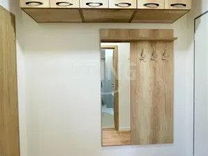 Pronájem bytu 1+kk, Ostrava, Hasičská, 34 m2