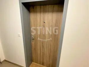 Pronájem bytu 1+kk, Ostrava, Hasičská, 34 m2