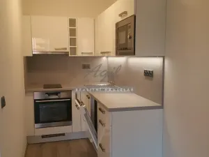 Pronájem bytu 2+kk, Brno, 46 m2