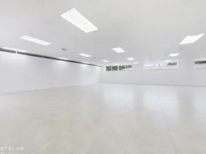 Pronájem obchodního prostoru, Opava, Rybářská, 160 m2