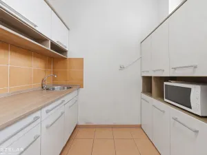 Pronájem obchodního prostoru, Opava, Rybářská, 160 m2