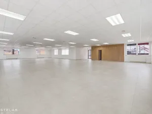 Pronájem obchodního prostoru, Opava, Rybářská, 160 m2