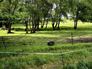 Prodej rodinného domu, Útvina - Svinov, 300 m2