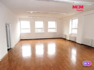Pronájem obchodního prostoru, Ostrava - Mariánské Hory, Karasova, 335 m2