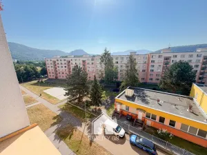 Prodej bytu 1+1, Ústí nad Labem, Mlýnská, 35 m2