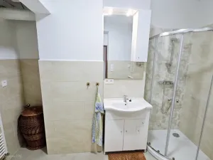 Pronájem rodinného domu, Velké Meziříčí, Malá stránka, 80 m2