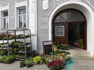 Pronájem obchodního prostoru, Trhové Sviny, Žižkovo náměstí, 75 m2
