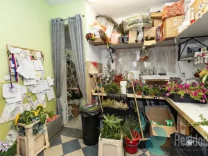 Pronájem obchodního prostoru, Trhové Sviny, Žižkovo náměstí, 75 m2