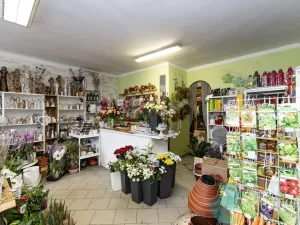 Pronájem obchodního prostoru, Trhové Sviny, Žižkovo náměstí, 75 m2