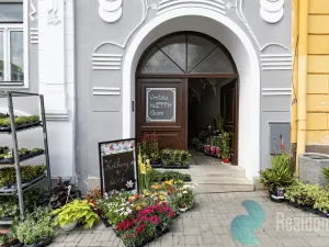 Pronájem obchodního prostoru, Trhové Sviny, Žižkovo náměstí, 75 m2