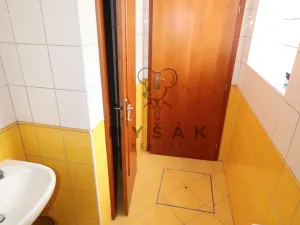 Pronájem výrobních prostor, České Budějovice - České Budějovice 6, Žižkova tř., 65 m2