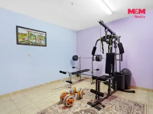 Prodej rodinného domu, Vinařice, Pod Horkou, 281 m2
