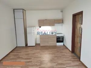 Pronájem bytu 1+1, České Budějovice - České Budějovice 2, Krčínova, 43 m2