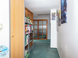 Prodej bytu 4+1, Opava, Slezská, 165 m2