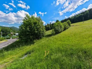 Prodej pozemku pro bydlení, Ludvíkov, 3999 m2