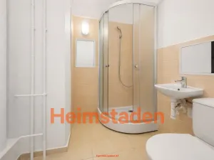 Pronájem bytu 1+kk, Havířov - Město, Hlavní třída, 20 m2