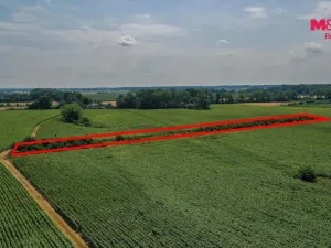 Prodej pole, Zaječí, 14490 m2