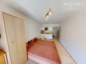 Pronájem bytu 1+kk, Příbram - Orlov, 22 m2