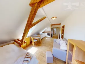 Pronájem bytu 1+kk, Příbram - Orlov, 22 m2