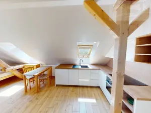 Pronájem bytu 1+kk, Příbram - Orlov, 22 m2