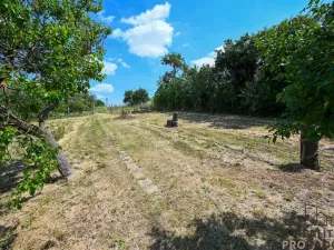 Prodej pozemku pro bydlení, Vážany, 1206 m2