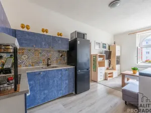 Prodej bytu 2+kk, Plzeň, Božkovská, 55 m2