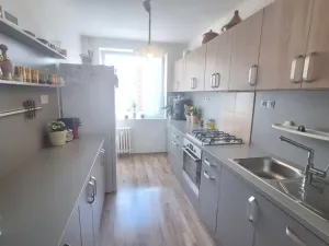 Prodej bytu 4+1, Teplice - Trnovany, Přítkovská, 85 m2