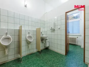 Prodej obchodního prostoru, Nejdek, Karlovarská, 5519 m2