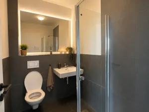 Prodej apartmánu, Frymburk, 236 m2