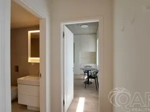 Pronájem bytu 2+kk, Praha - Nusle, Boleslavova, 43 m2