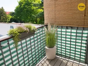 Pronájem bytu 3+kk, Loštice, nám. Míru, 95 m2