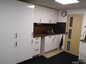 Pronájem bytu 1+kk, Ústí nad Labem, Chotkova, 35 m2
