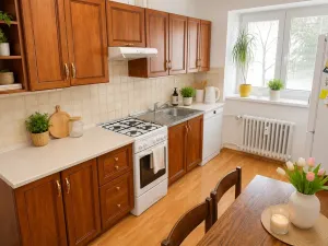 Pronájem bytu 2+1, Brno - Žabovřesky, Korejská, 52 m2