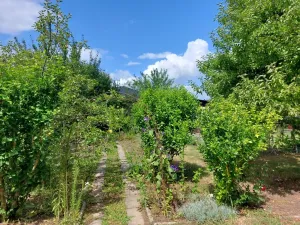 Prodej zahrady, Postřelmov, 383 m2