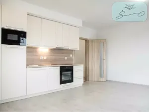 Pronájem bytu 1+kk, Heřmanova Huť, U Pondu, 34 m2