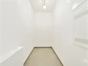 Prodej bytu 3+kk, Praha - Žižkov, Kaplířova, 89 m2