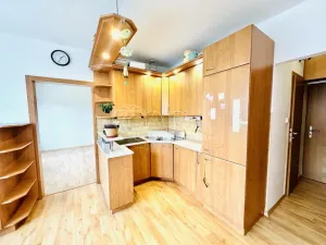 Pronájem bytu 1+1, Písek - Budějovické Předměstí, 17. listopadu, 40 m2