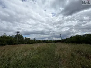Prodej pozemku pro bydlení, Lom, Palackého, 2632 m2