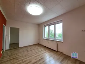 Prodej bytu 3+1, Stříbro, Brožíkova, 56 m2